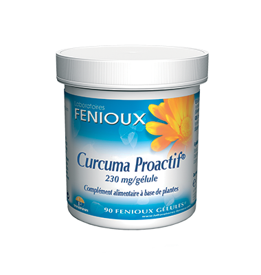 FENIOUX CURCUMA PROACTIF  90 GÉLULES